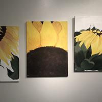 Triptych of sunflowers